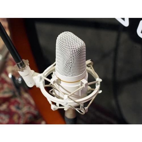 TOPPING Professional CL101 Studio Condenser Microphone, Gaming, XLR, Unidirectional, Shock Mount, Windscreen, Pop Filter, for Video Streaming, Home Re