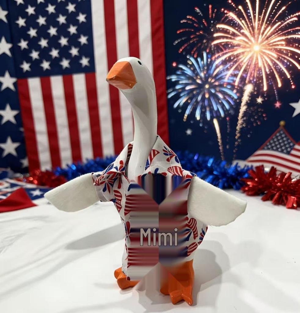 Valentine's Pearl Desktop Goose Set with Mini Knitted Hat & Adjustable Wings Clothing