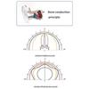 Wireless Speaker Bone Conduction Bass Technology Suction Cup Magnetic Base Designing For Outdoor Travel Home Bathroom
