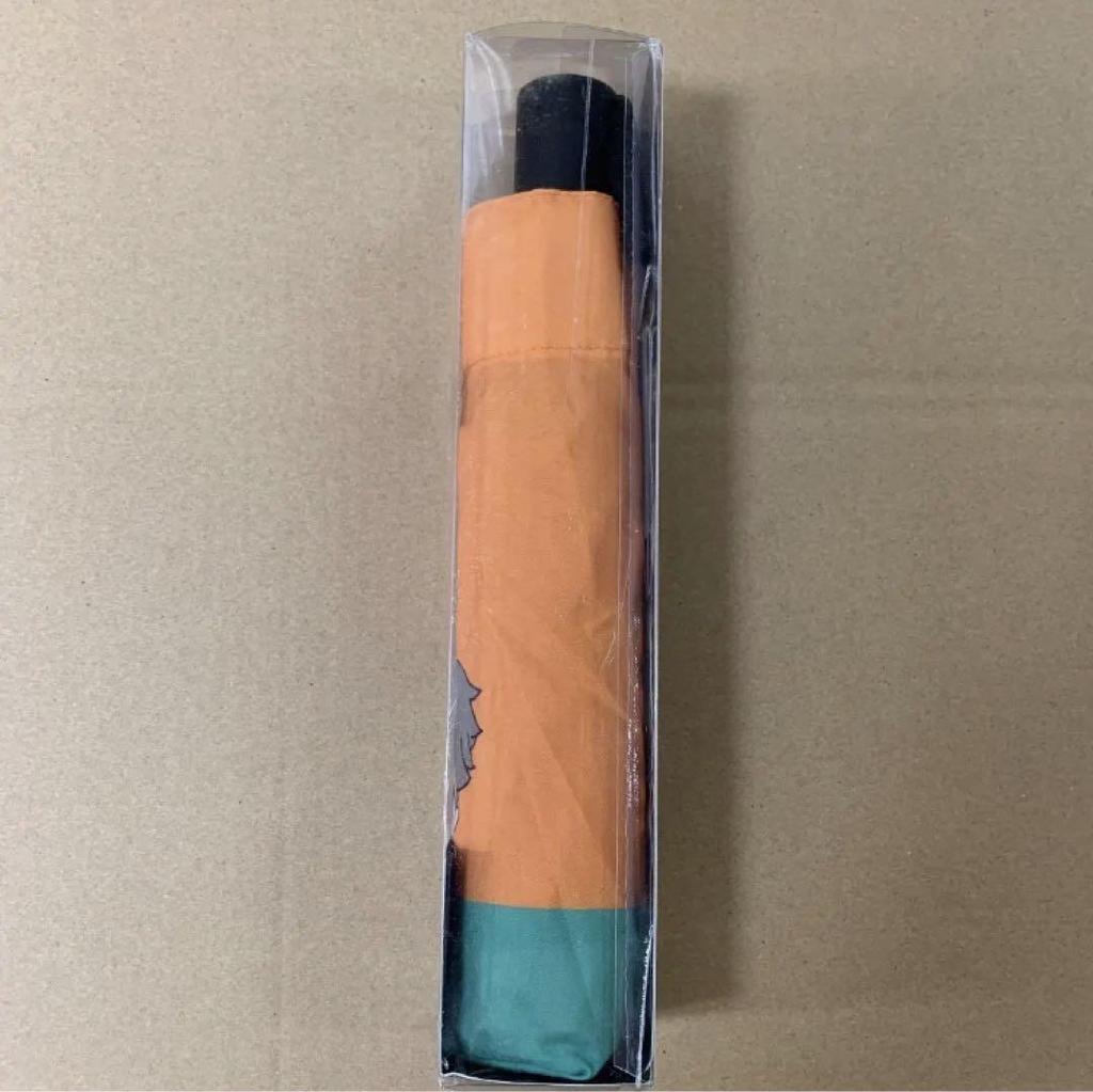 [USED] Official BTS Automatic Opening Umbrella (JIN ver.)