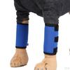 1 Pair Dog Leg Support Brace Canine Frongt Rear Hock , Compression Wrap / Injuries and Sprains Help