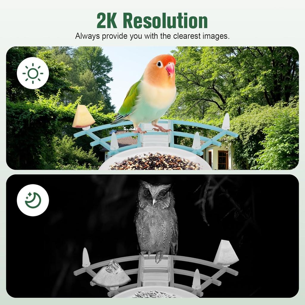 Bird Feeder with Camera AI Identify Birds Species Solar Powered Auto Record Videos in Backyard Instant Notifications Bird Lovers