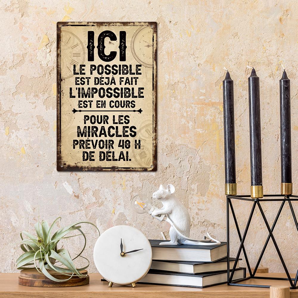 Putuo Decor 1pc French Vintage Metal Tin Sign, ICI LE POSSIBLE, Wall Art Decor for Home Office Studio, Gift