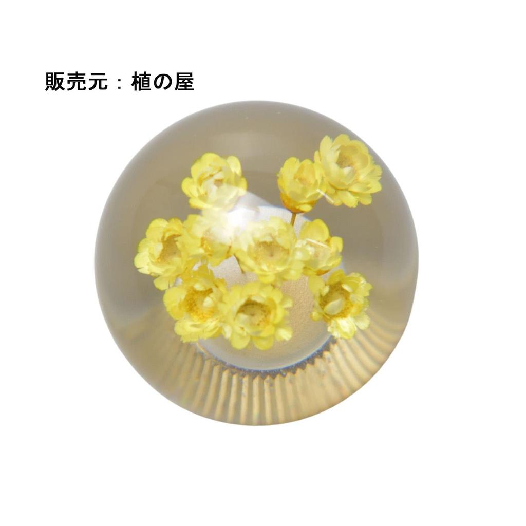 JINGLING Underwater Flower Shift Knob Gear Knob Crystal Universal Ball Shape AT MT Car