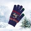 Winter Cold-proof Thin Plush Women's Gloves New Style Wool Plus Velvet Touch Screen Cycling Warm Knitted Gloves