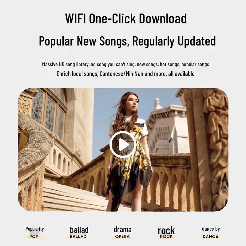 Philips 10-inch Home KTV Speaker Set CN Plug (adapter Included)