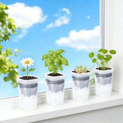 Maceta Absorbente con Diseño Transparente de Doble Capa Depósito de Agua Profundo de 150 ml Ventilación Ajustable Cúpula de Humedad Maceta para Propagación de Plantas