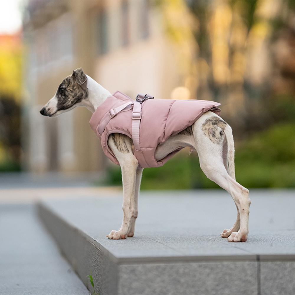 Autumn Winter Pet Clothes Outdoor Dog Jacket with Harness for Small Medium Dogs Thick Warm Pet Cotton-Padded Clothing