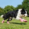 1Set Velvet Daily Pet Snow Boots Multiple Sizes Comfortable Anti Slip Durable Taking Photos Pet Socks Protecting Soft Outdoor