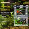 Large Transparent Fry Breeding Box for Guppy, Betta, and Juvenile Fish Isolation