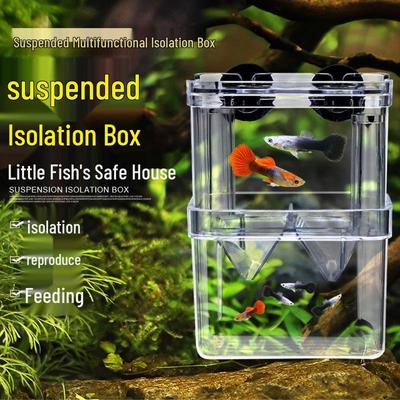 Große Transparente Aufzuchtbox für Guppy-, Betta- und Jungfisch-Isolation