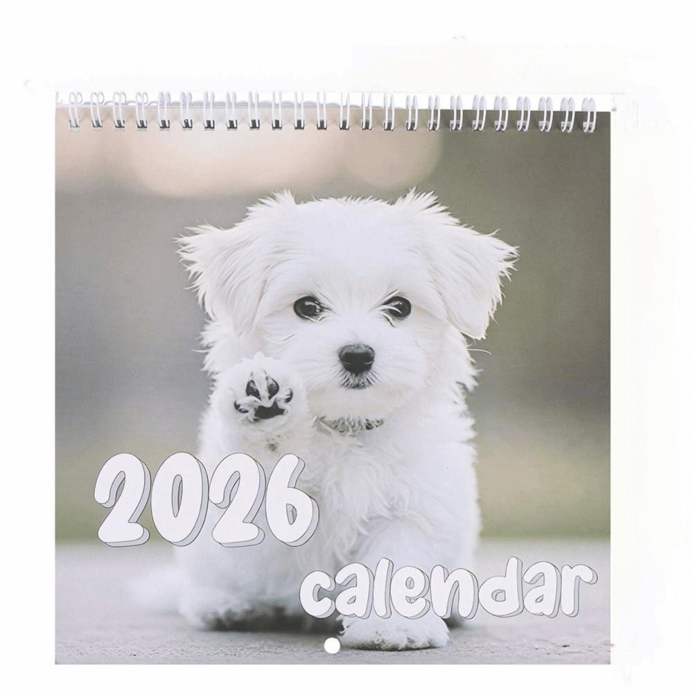 2026 Wall Calendar 2026 12 Month Layout Hangable Design Monthly Calendar Funny Cat Art Monthly Calendars Cat Design Calendar