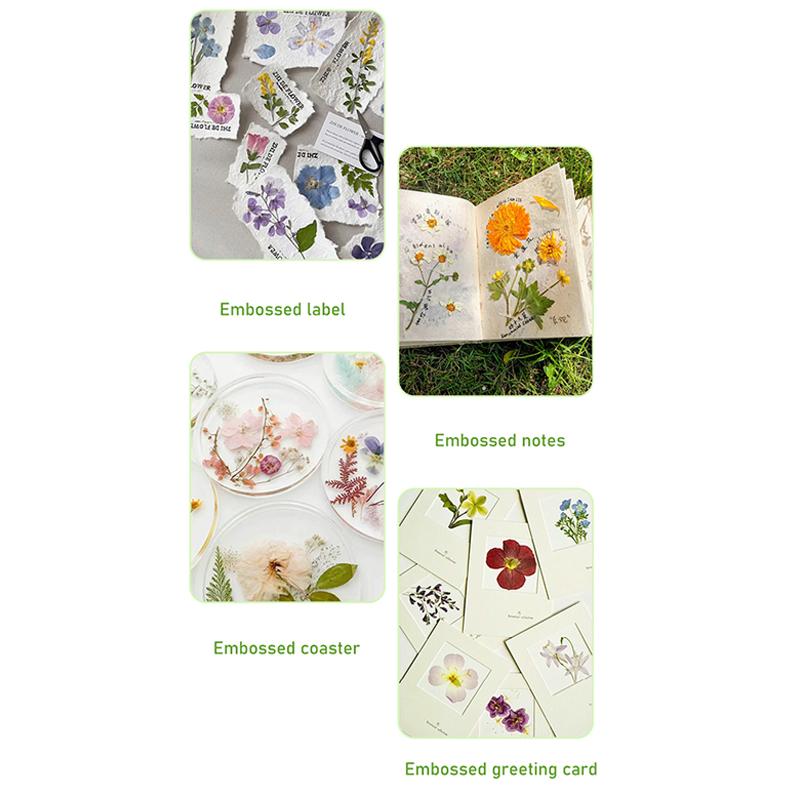 Flower Press Kit 5 Layers Wooden Flower Press Complete Flower Preservation Kit Leaf Pressing For Diy Crafts Making Dried Plants