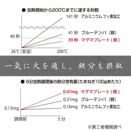 Takumi JAPAN 30cm Iron Stir-Fry Pan with Glass Lid, Non-Stick Magma Plate Iron Frying Pan with Textured Iron Surface, Induction Compatible, High-Heat