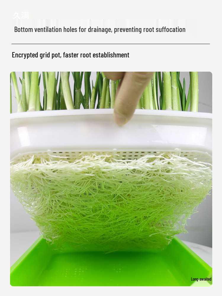 Garlic & Pea Sprouts Hydroponic Tray - Seedling & Sprouting Tool