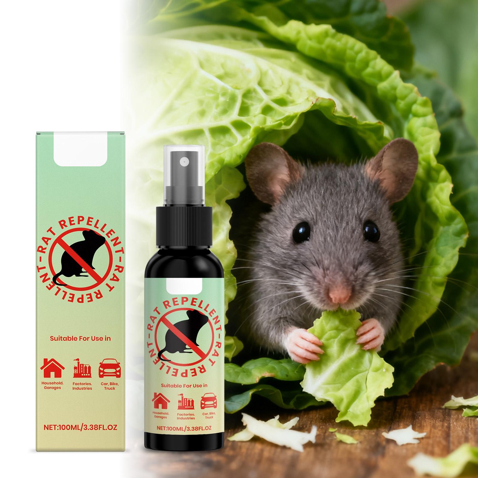 

Multi,scenario Rat Spray, A Safe And Protective Agent Specifically Designed For Vehicles, And Industries,100ML One Size
