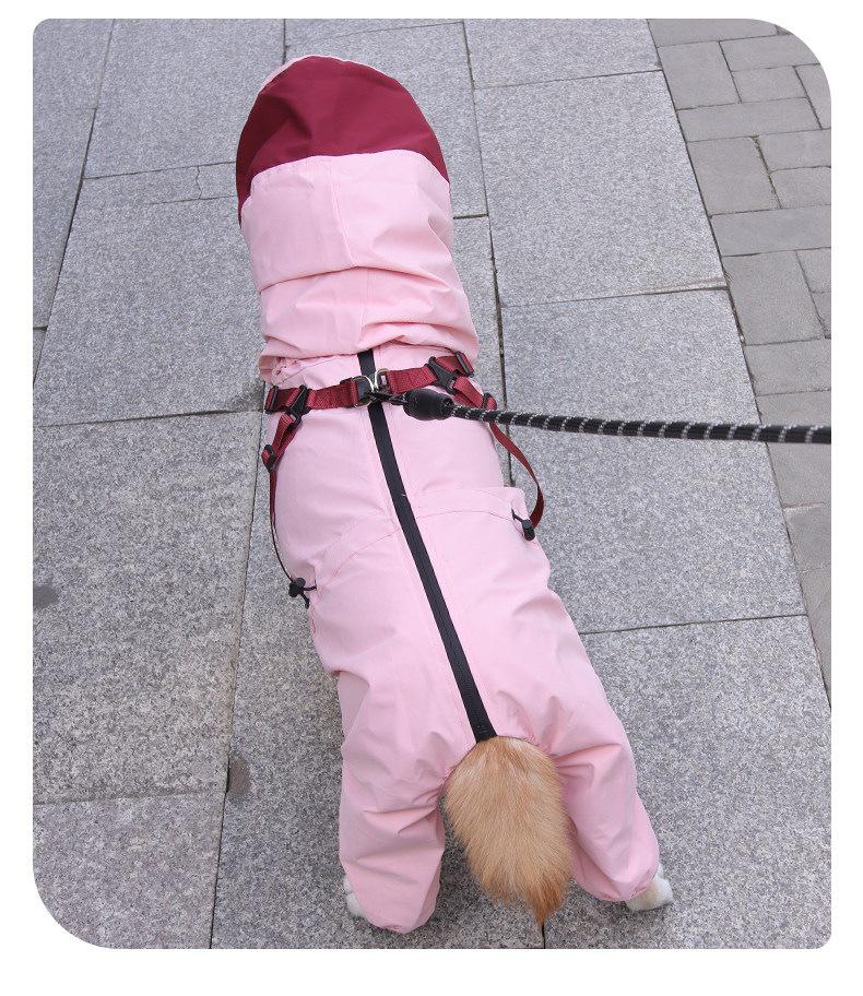 Windproof & Waterproof Dog Raincoat: Four-Legged Storm Suit for Medium & Small Dogs