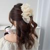 Double-Sided Mesh Silk Hairpin Plastic Ponytail Clip Advanced Sense Shark Hair Clip  Women Girls