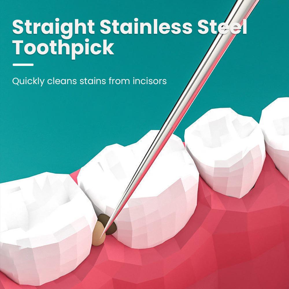 Toothpick Tool Stainless Steel Toothpick Needle Stick Portable Dental Cleaning Tool Set 304 Metal