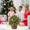 Yousheng Artificial Pine Topiary Realistic Faux Pine Bushes Artificial Greenery with Spike Christmas Topiary for Home Indoor Front Porch Outdoor Decor