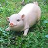 Garden Pig Statue, Outdoor Resin Piggy Ornament, Cute Piglet Sculpture, Farmhouse Decoration for Yard Lawn Patio