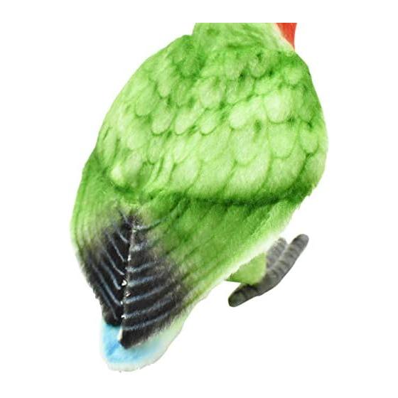 BH7254 HANSA Lovebird 13