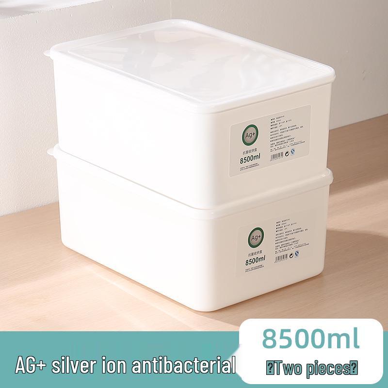 Large Capacity Fresh-Keeping Storage Box for Steamed Buns and Dumplings