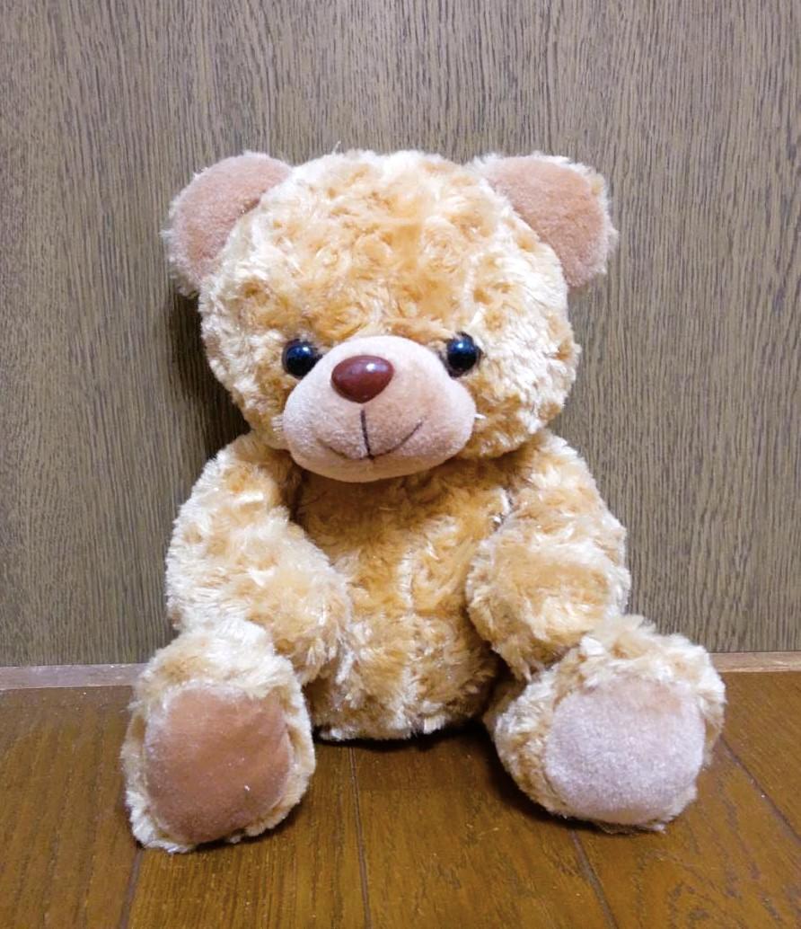 

[USED] Teddy bear, stuffed bear, baby shower gift, gift present