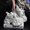Retro Silver Platform Dad Shoes Women's Autumn New Small Height Increase Versatile Casual Sports Shoes