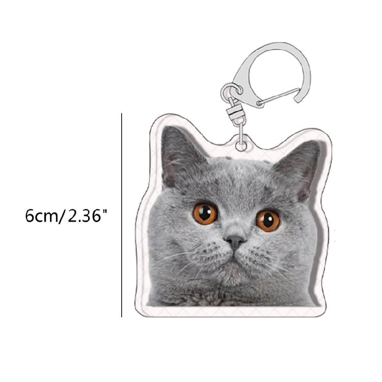 Cartoon Cat Pendant Lovely Animal Shaped Keychain Acrylic Keyring Bag Ornament