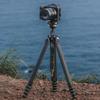 Falcam TreeRoot F38 Pro Carbon Fiber Quick Lock Travel Tripod with Ball 5kg F22 and Strap Hole for Mirrorless and Camcorders Tripod, 61-inch 360°