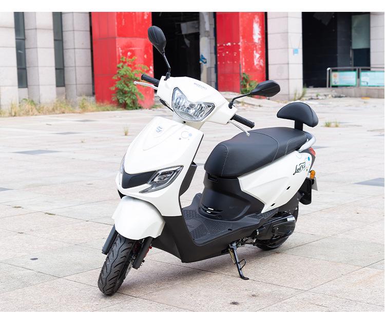 Suzuki Little Dolphin QS110T-3 Rear Luggage Rack Upgrade for Scooter Motorcycle