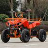 Călătorii cu copiii – Biciclete fără pedale și velomobile