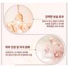 PAUL MEDISON AI Elasticity Cream 100ml Firming Glow Moisturizing Anti-Wrinkle Face Cream