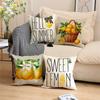Outdoor Throw Pillow Covers 45x45cm Spring Summer Decorative Cushion Cases Home Decor Decorations for Couch Chair Sofa JAF091