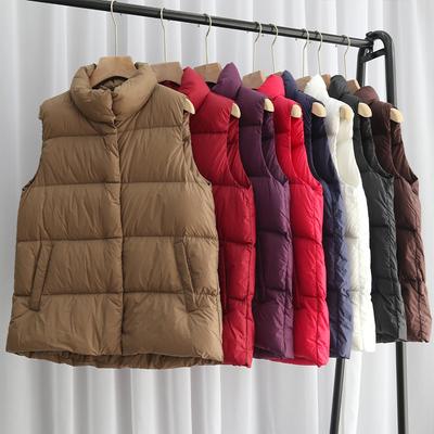 Winter Down Vest Women Wear Warm New Stand-up Collar Loose Thickened Vest Jacket