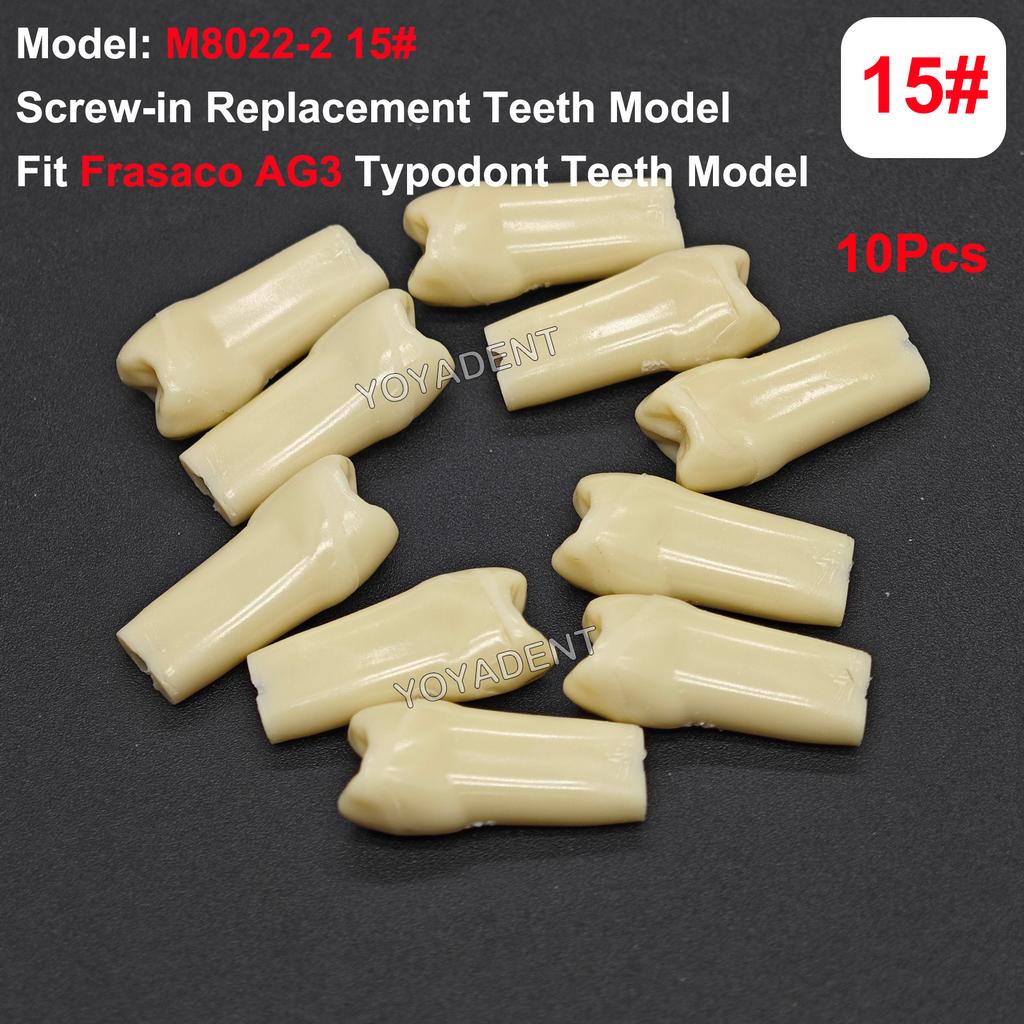 Fit Frasaco AG3 Typodont Dental Teeth Model Full teeth 32Pcs Screw-in Practice Filling Soft Gum Gingivae Teeth Training Teach