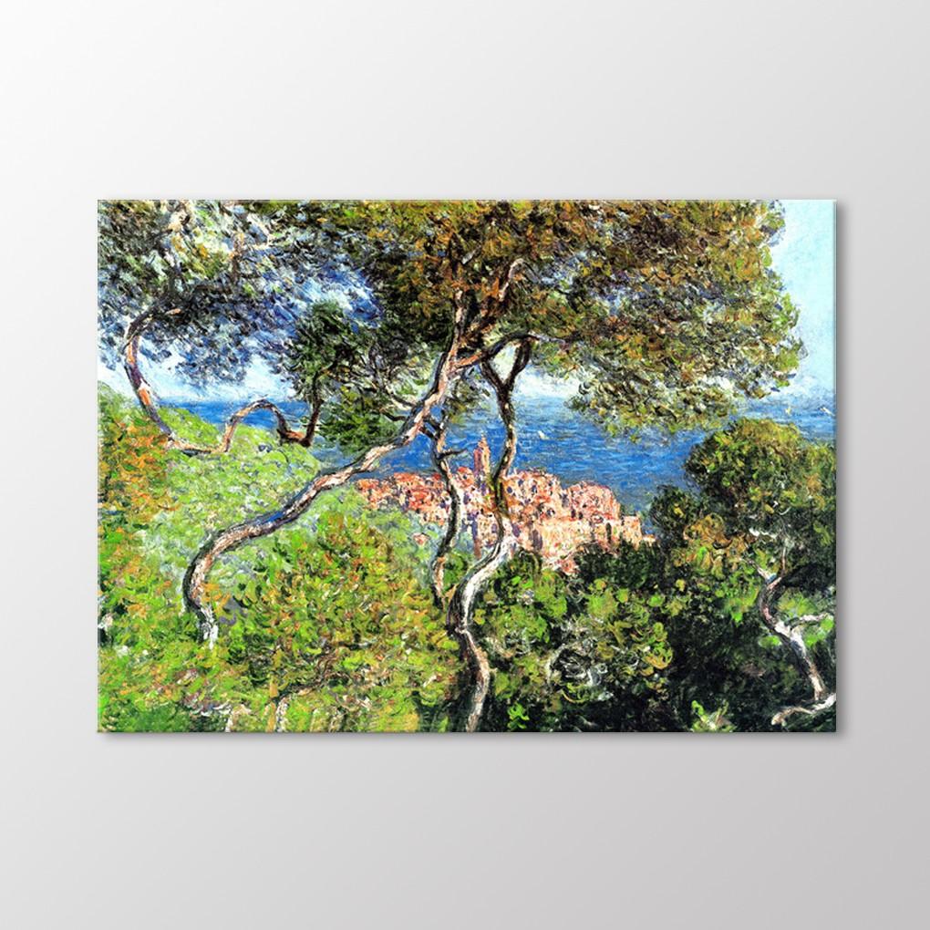 

Живопись Бордигеры, 1884 год