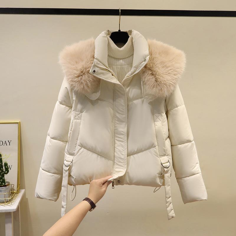 Winter new good-looking fur collar padded jacket women's fashion short loose padded jacket