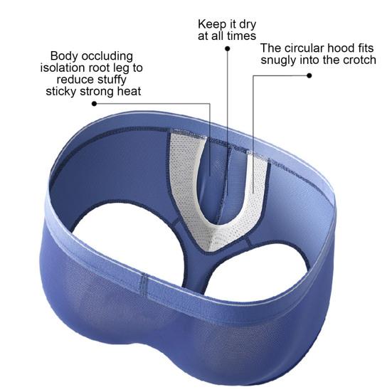 Pánské boxerské spodní prádlo Nízký elastický pas Slim Fit šortky Kalhotky Jednobarevné U-konvexní ledové hedvábné tenké kalhotky