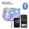 WS2812B Bluetooth LED String Fairy Lights Dreamcolor RGBIC Addressable Party Christmas Lights Wedding Decoration Garland USB 5V