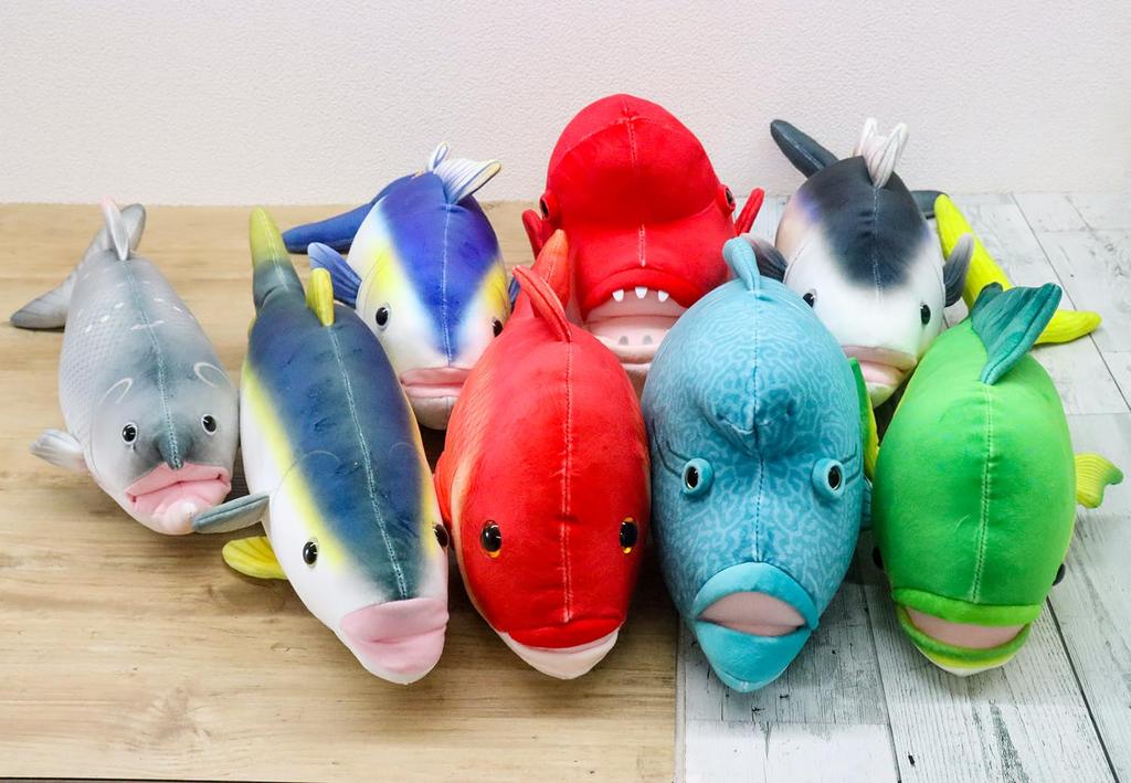 Takeoff Sea and Fish Asian Sheepshead Wrasse