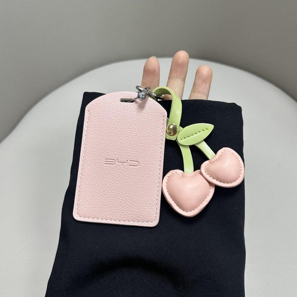 BYD Seagull, Han, Song Plus, Dolphin, Qin Plus, Qin Lpro Car Key Case & Holder.