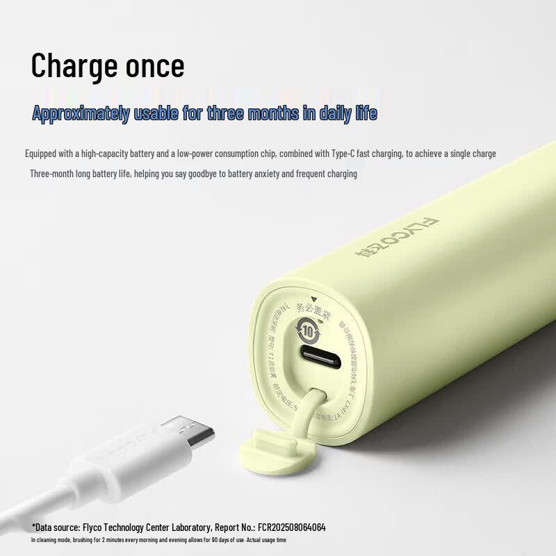 FLYCO T1 Sweep-Vibration Electric Toothbrush CN plug (adapter included)