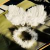 Elegant Angel Wings & Tiara Set Comfortable White Feathered Wings Photo Props for 0-6 Months Birthday Photography Accessories