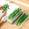 Refrigerator Storage Boxes Fresh Box  Scallions Food Container with Lid Cold Crisper Sealed Kitchen Fresh Fruit Fridge Organizer