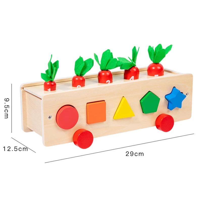 Baby Wooden Montessori Box Sensory Toys Color Shape Sorting Matching Games Winder Object Permanence Activities Educational Toys