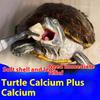 ANIMALOG Turtle Calcium Special Calcium Powder for Calcium Vitamin Anti-shell Softening and Shedding Defective Limbs Weakness Appetite Loss 130g