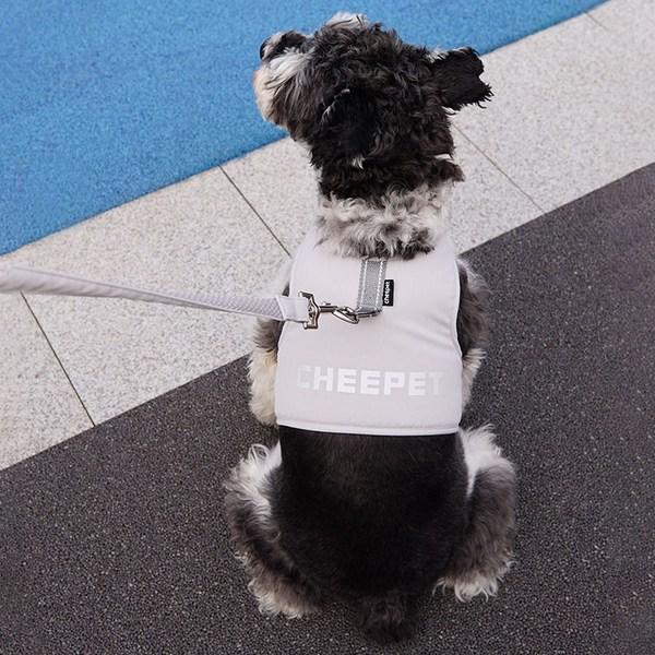 Dog Boutique Hundegeschirr, Kleidungsset, Leine, Set mit Brustleine, Spazierzubehör, Grau