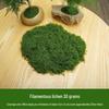 High Simulation Artificial Moss for Green Landscape Arrangement and Bonsai